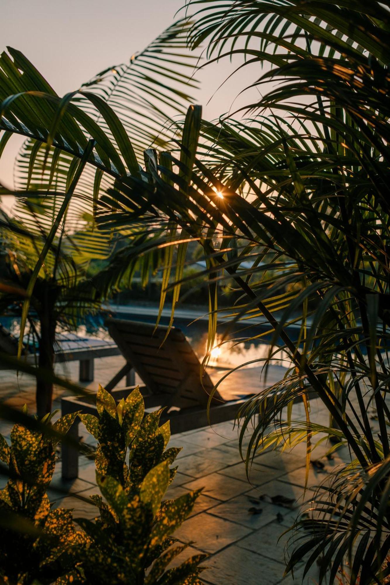 Hotel Parkside & Swimming Pool-Between Greenery And Azure ,Your Perfect Retreat Chitwan Exteriör bild